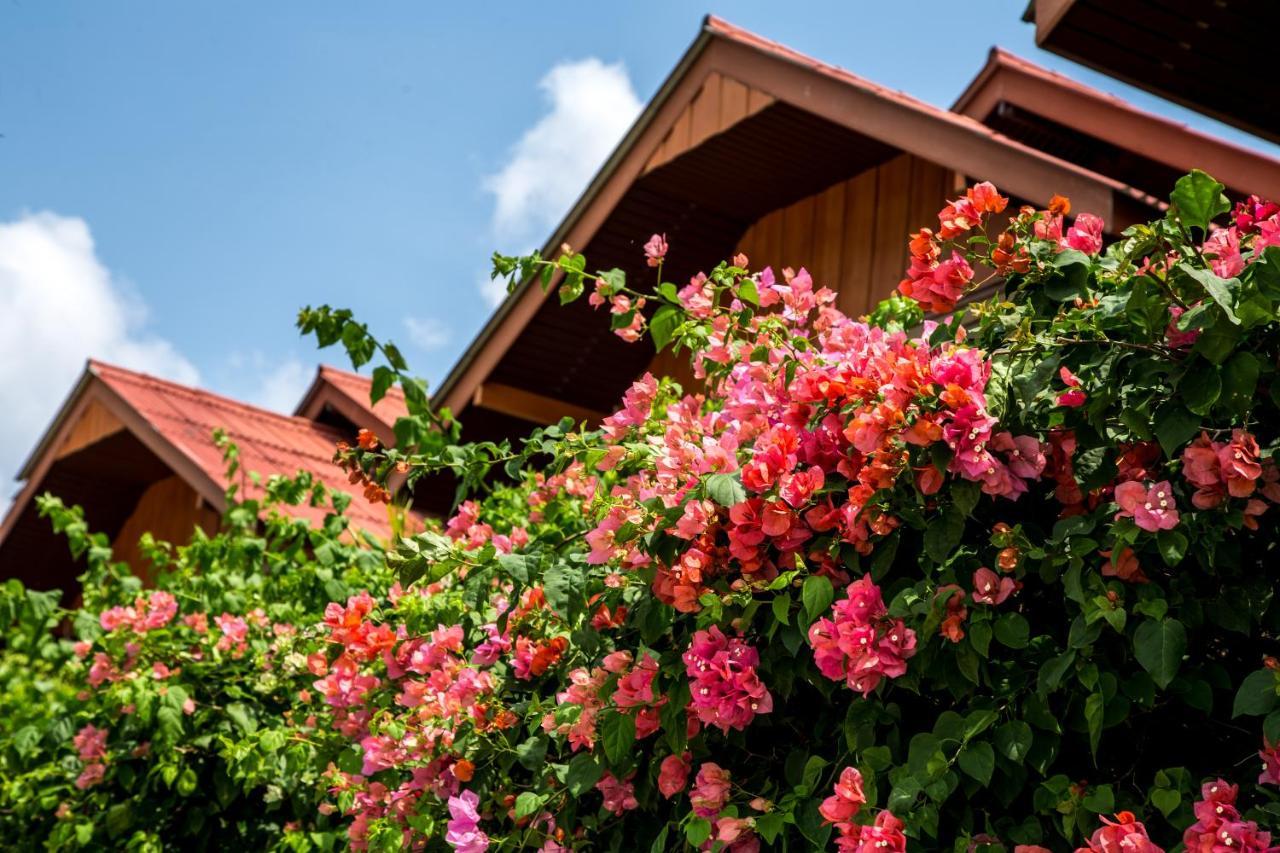 Zama Resort Koh Phangan Haad Chao Phao Exterior photo